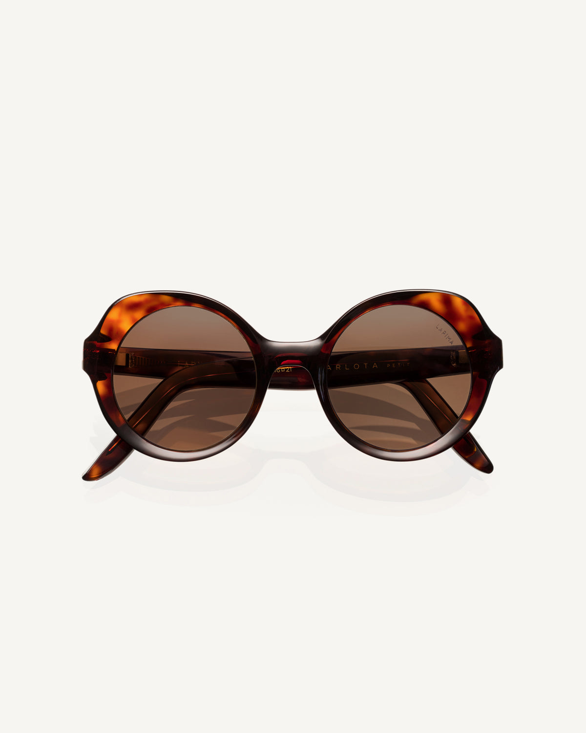 sun-carlota-petit-havana-gradient