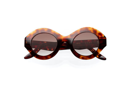 sun-cora-havana-gradient