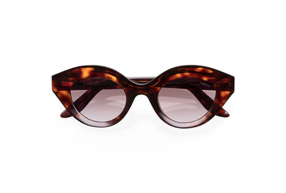 sun-nina-petit-havana-gradient